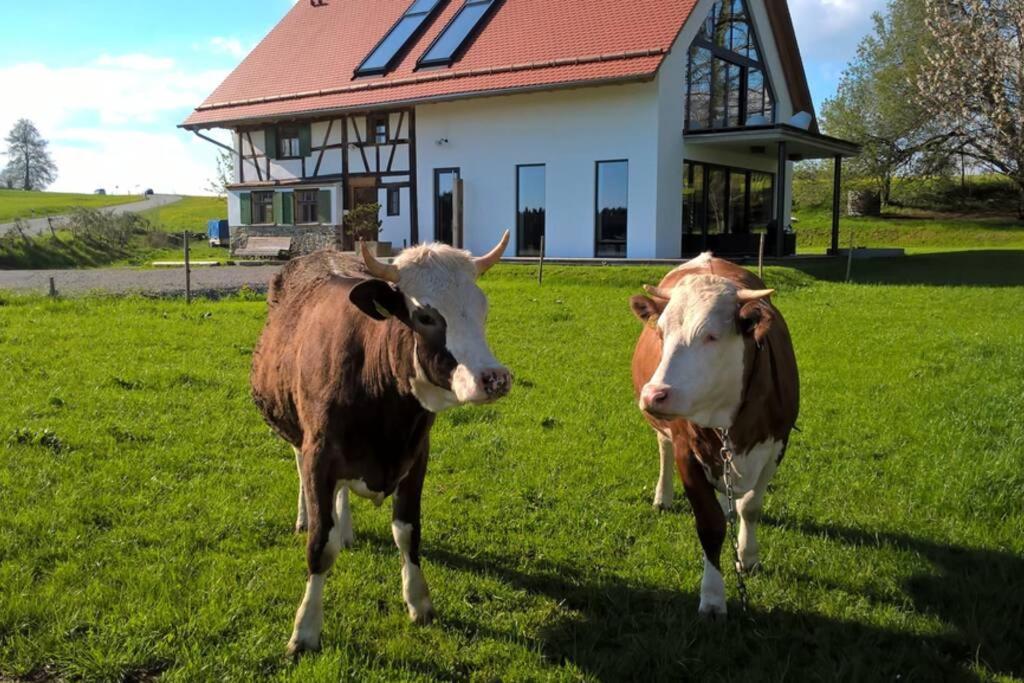 5Sterne Ferienwohnung Im Fachwerk Mit Bergblick In Alleinlage Und Grossem Garten, Infrarotkabine Humberg Exterior foto