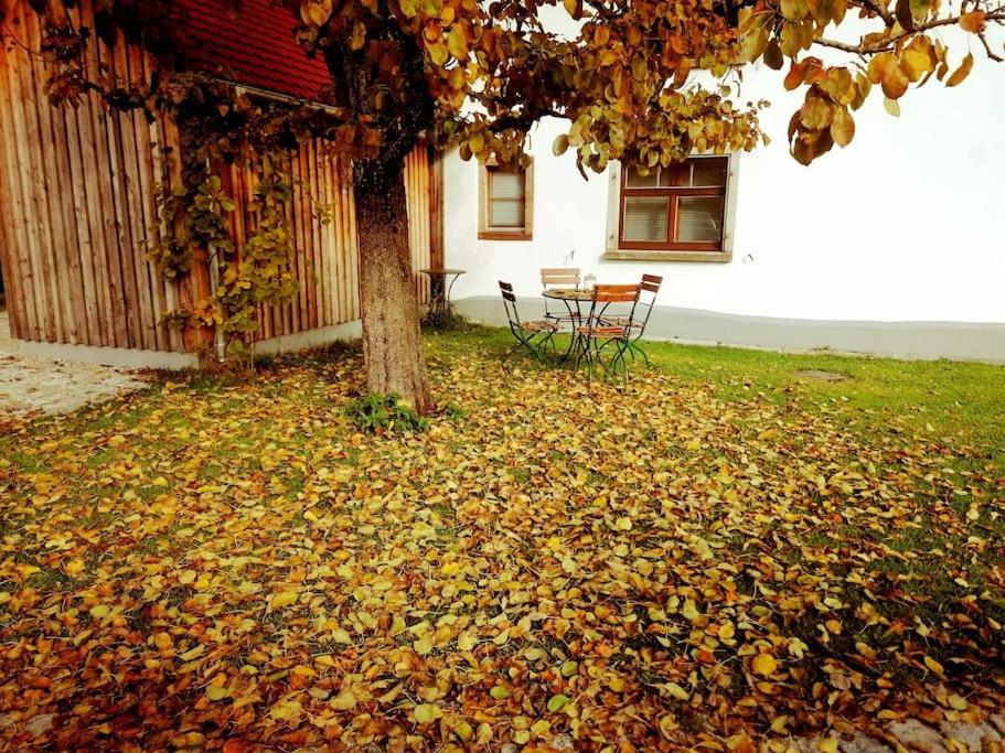 5Sterne Ferienwohnung Im Fachwerk Mit Bergblick In Alleinlage Und Grossem Garten, Infrarotkabine Humberg Exterior foto