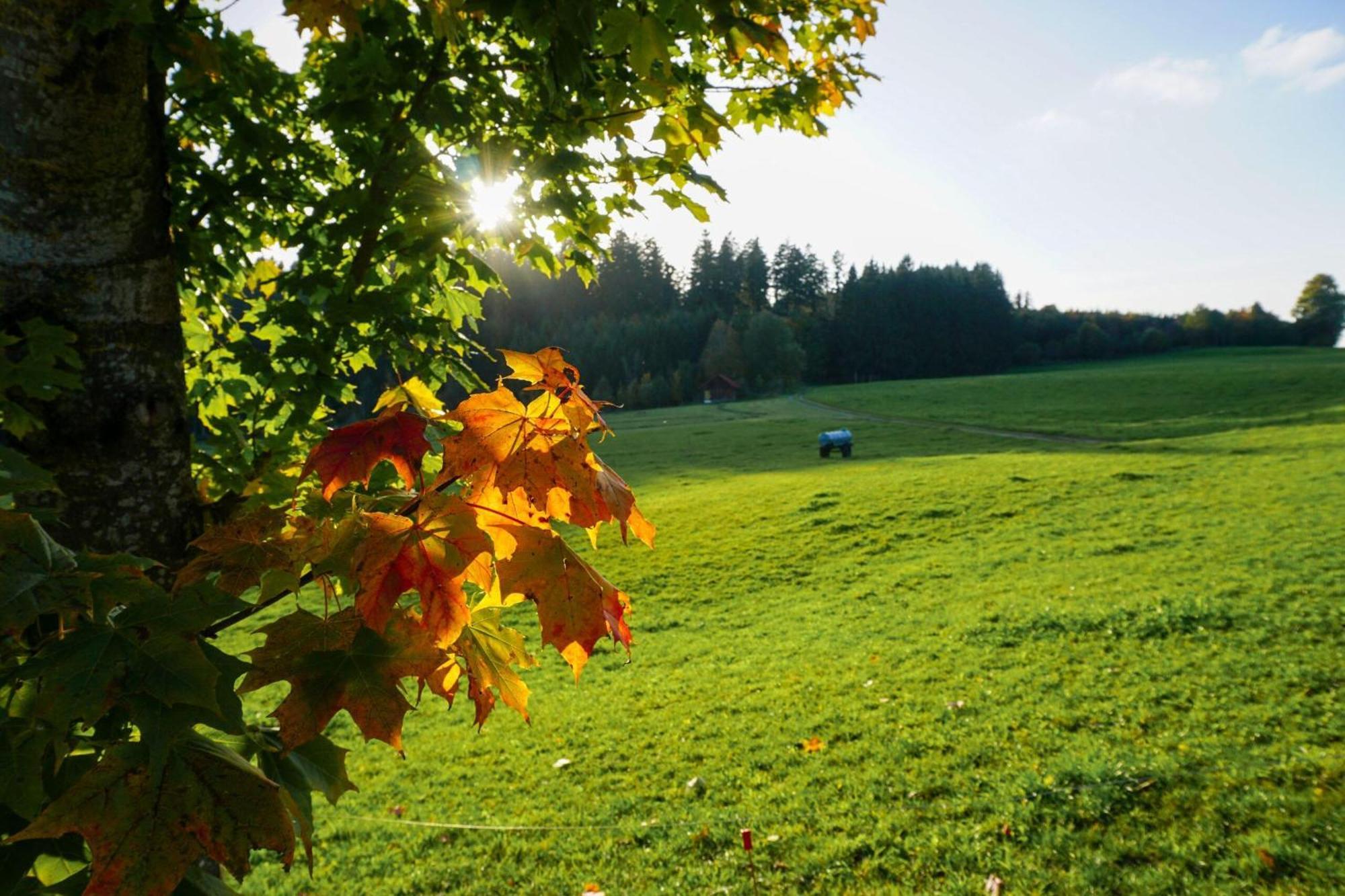 5Sterne Ferienwohnung Im Fachwerk Mit Bergblick In Alleinlage Und Grossem Garten, Infrarotkabine Humberg Exterior foto